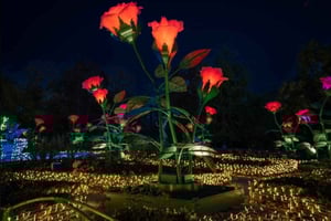 Königlicher Garten des Lichts: Nächtliche Tour durch den Palast Wilanów
