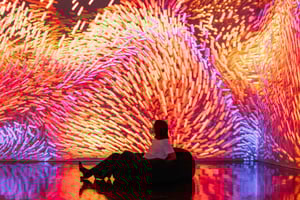 Varsovie : billet d'entrée pour le musée Melt