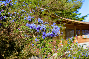 Descubre la isla de Bainbridge
