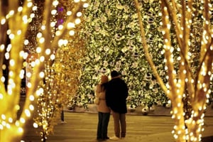 DC: Ultimat juleomvisning til fots i sentrum med varm kakao