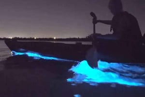 Eastsound: Orcas Islandin bioluminesoiva kajakkikierros