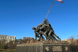 Fra NYC: Sightseeing-dagstur til Washington, DC med transport