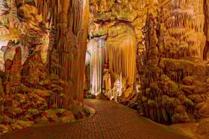 Fra Washington DC: Dagstur til Luray Caverns