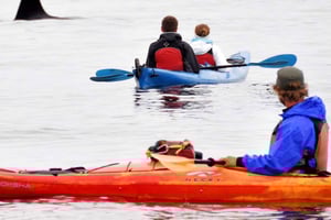 Orcas Island: Kajakkutflukt for å se dyreliv