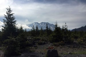 Portland: A excursão de aventura ao Mt. St. Helens