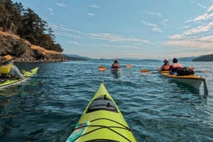 サンファン島グリフィン湾3時間ツアー