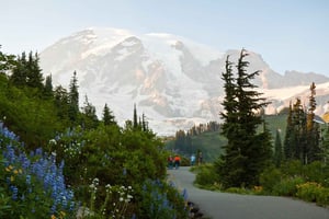 Seattle: Mount Rainier Park All-Inclusive Tour in kleine groep