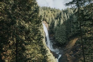 Seattle : Randonnée au pays des merveilles des chutes d'eau dans le parc Wallace Falls