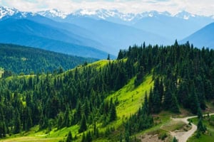 少人数グループ：シアトル発 オリンピック国立公園日帰りツアー