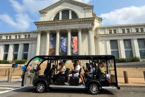 Washington D.C.: National Mall og minnesmerker – guidet tur med vogn