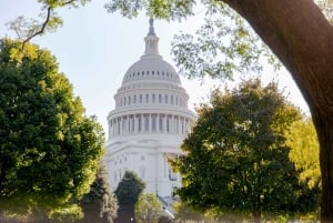 Washington DC: Bus Tour with US Capitol and Archives Access