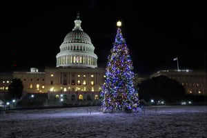 Washington, DC: Busstur med Holiday Lights Nighttime