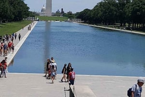 Washington, DC: Privat tilpasset byrundtur i varebil