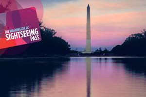 Washington DC Sightseeing Flex Pass : 15+ expériences à Washington DC