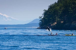 Wycieczka kajakiem po Fort Flagler, Waszyngton