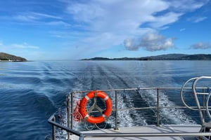Wellington: Commentated Harbour Explorer tour
