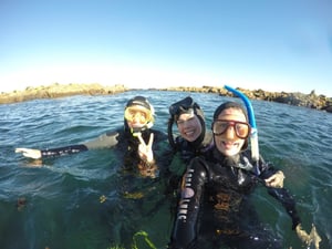 Go Snorkel Tours