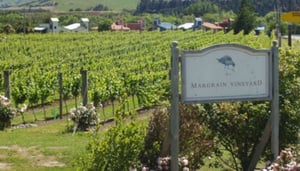 Margrain Vineyard