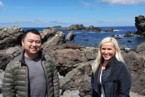 Visite du vignoble de Martinborough et de la côte sauvage du sud de Wairarapa