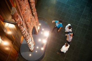 WLG: Museum of NZ Māori Highlights Tour & General Admission