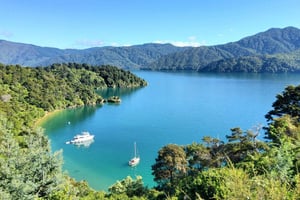 New Zealand: 17-dages guidet tur på Sydøen med camping
