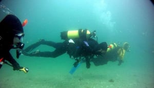 New Zealand Sea Adventures