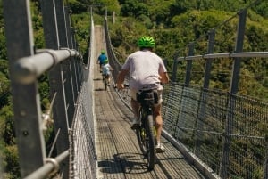 Da Wellington: Tour in eBike del Remutaka Rail Trail