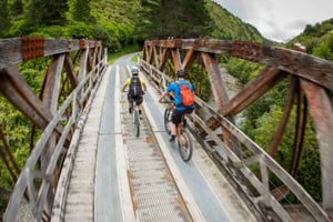 Remutaka Rail Trail eBike Shore Excursion for Cruise Ships