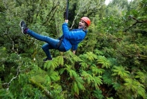 Rotorua: Opastettu Zipline-seikkailukierros valokuvineen