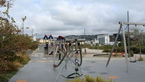 Waitangi Park