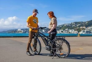 Wellington: Wycieczka z przewodnikiem Easy Rider eBike Tour