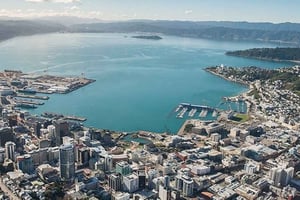 Wellington: 9-Minute Scenic Flight Ride