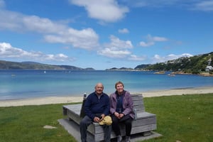 Wellington: Cave to Coast Highlights Guided Tour