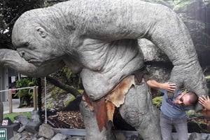 Wellington: Halbtagestour zu den Schauplätzen von Herr der Ringe