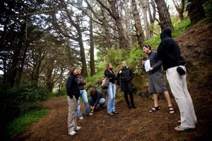 Wellington: Original LOTR Full-Day Tour with Weta & Lunch