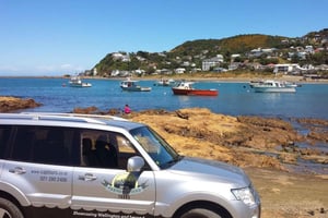 Wellington: Private Day Tour with Lunch