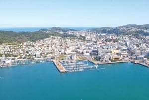 Wellington: Scenisk South Coast Discovery Helikopterfly