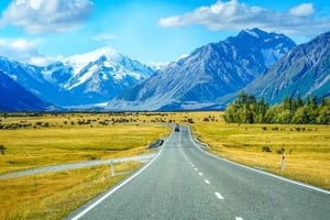 Wellington: Privat returtransport fra WLG lufthavn til byen