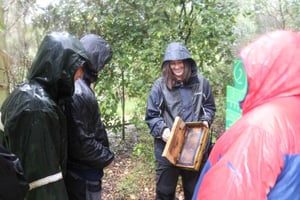 Entrébillet til Wellington Zoo + Gruppetur til Aotearoas dyr