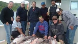 Westcoast Charters