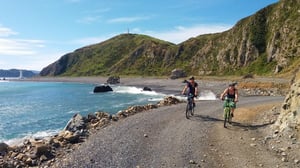 Wildfinder Pencarrow