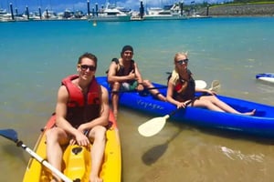 Turtle spotting-Double kayak hire Shingley beach
