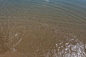 Airlie Beach: Tagestour zu den schönen Stränden von Bowen.