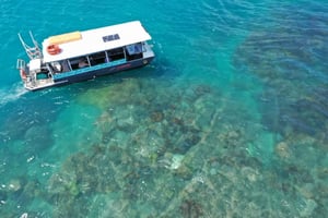 Airlie Beach: Glass-Bottom Boat Tour