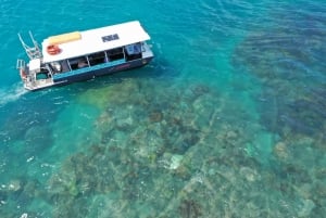 Airlie Beach: Tour in barca con fondo di vetro