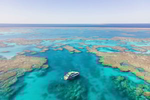 Airlie Beach: Snorkling på Great Barrier Reef fra Shute Harbour