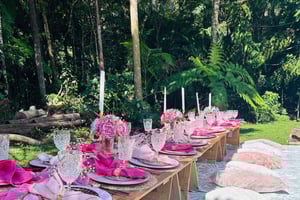 Airlie Beach - Luksuriøs pop up-picnic i Headlands Park