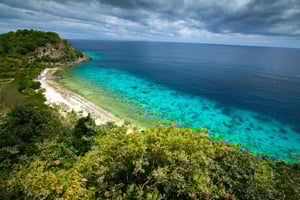 Apo Island Wonders: Schnorcheln mit Meeresschildkröten in Dumaguete