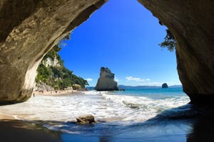 Auckland: tour per piccoli gruppi a Cathedral Cove e Coromandel