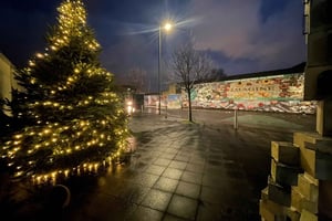 Belfast: Ściana Pokoju i wycieczka po muralach